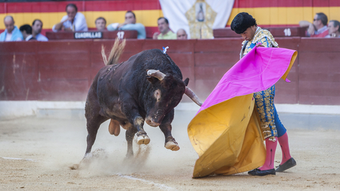 Španělské ministerstvo kultury se rozhodlo zrušit národní cenu býčích zápasů, to vyvolalo kritiku
